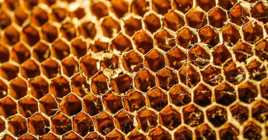 Raw Honey Nutrition Facts: Your Quick Guide In 2024 2 Raw Honey