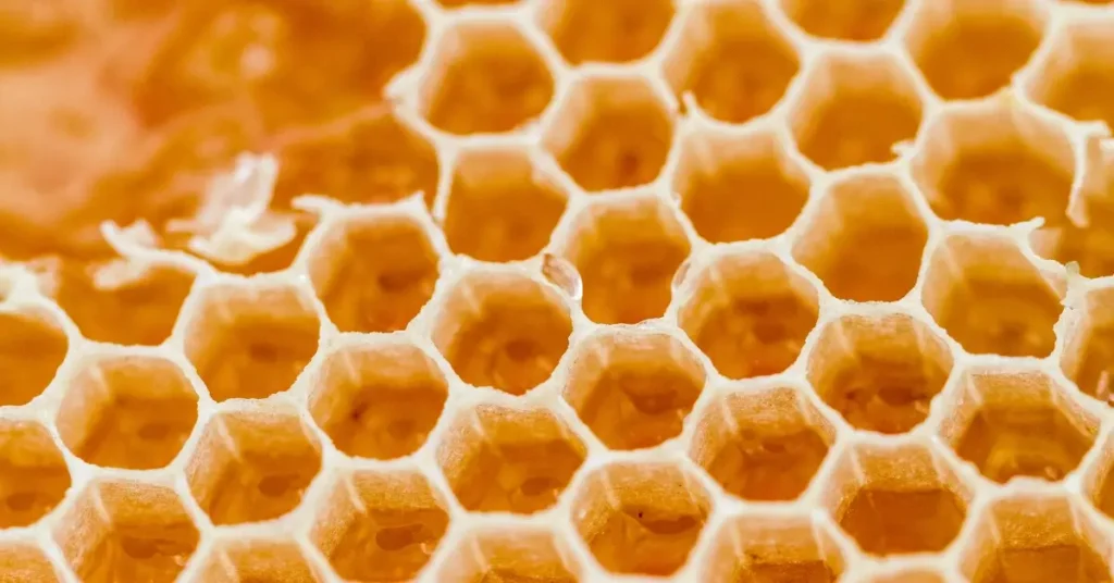 Raw Honey Nutrition Facts: Your Quick Guide In 2024 3 Raw Honey Nutrition Facts