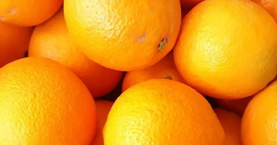 Best Guide 2024: What Are Micronutrients 2 Fresh Oranges