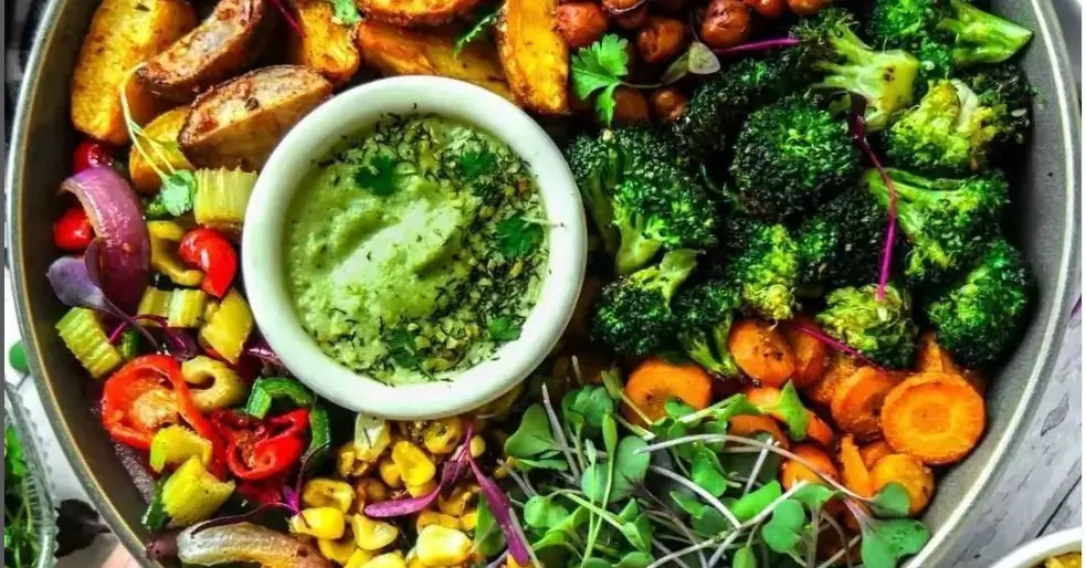 Plant Based Diet Vs Meat Based Diet 2024 6 Unbenannt